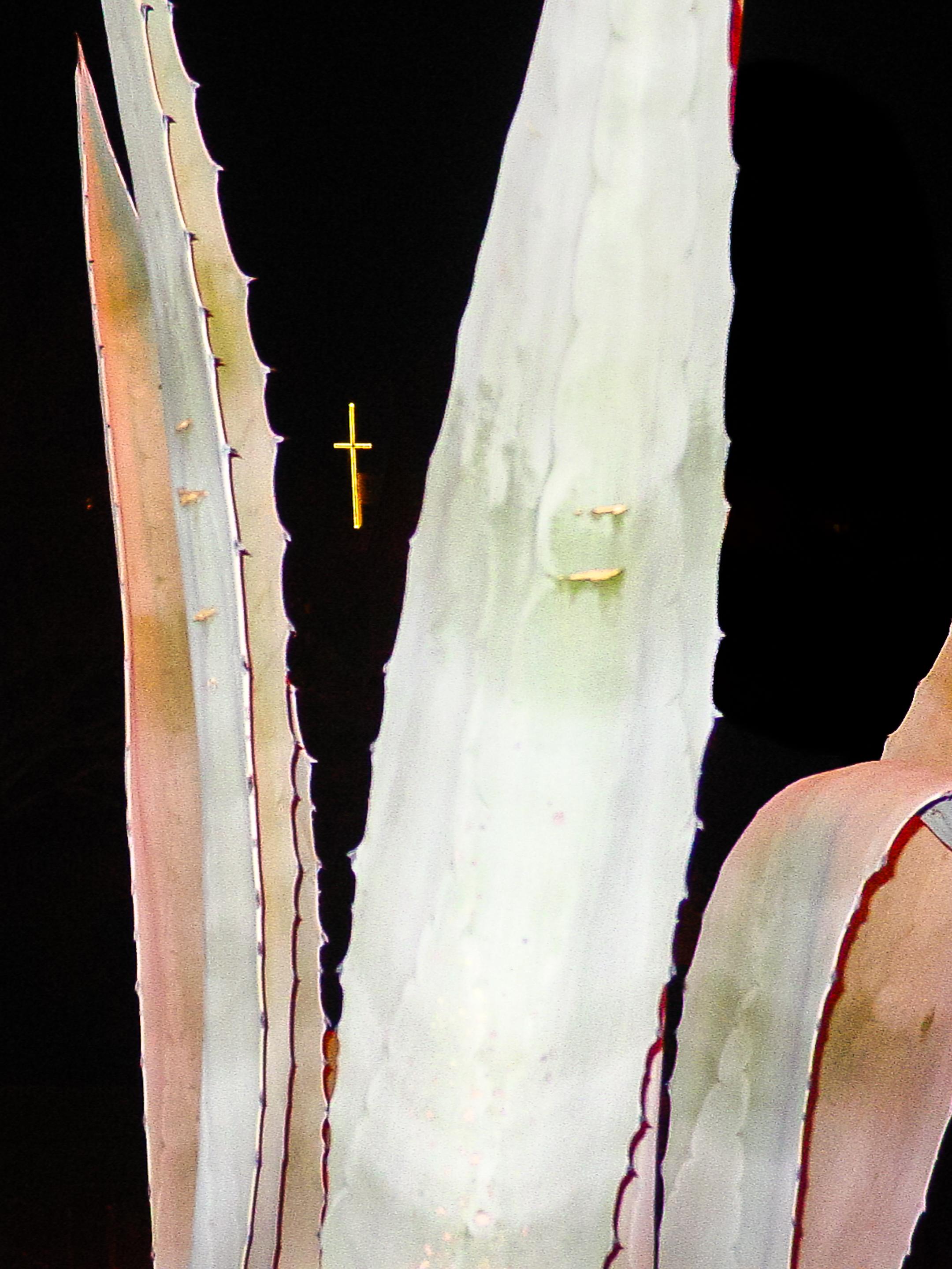 Picture of a small cross in the distance,  lit up by LED's against a black background. The foreground is an agave plant illuminated by flash. The image has a stark contrast, with the cross being on a completely black background, in the negative space between brightly lit agave leaves.