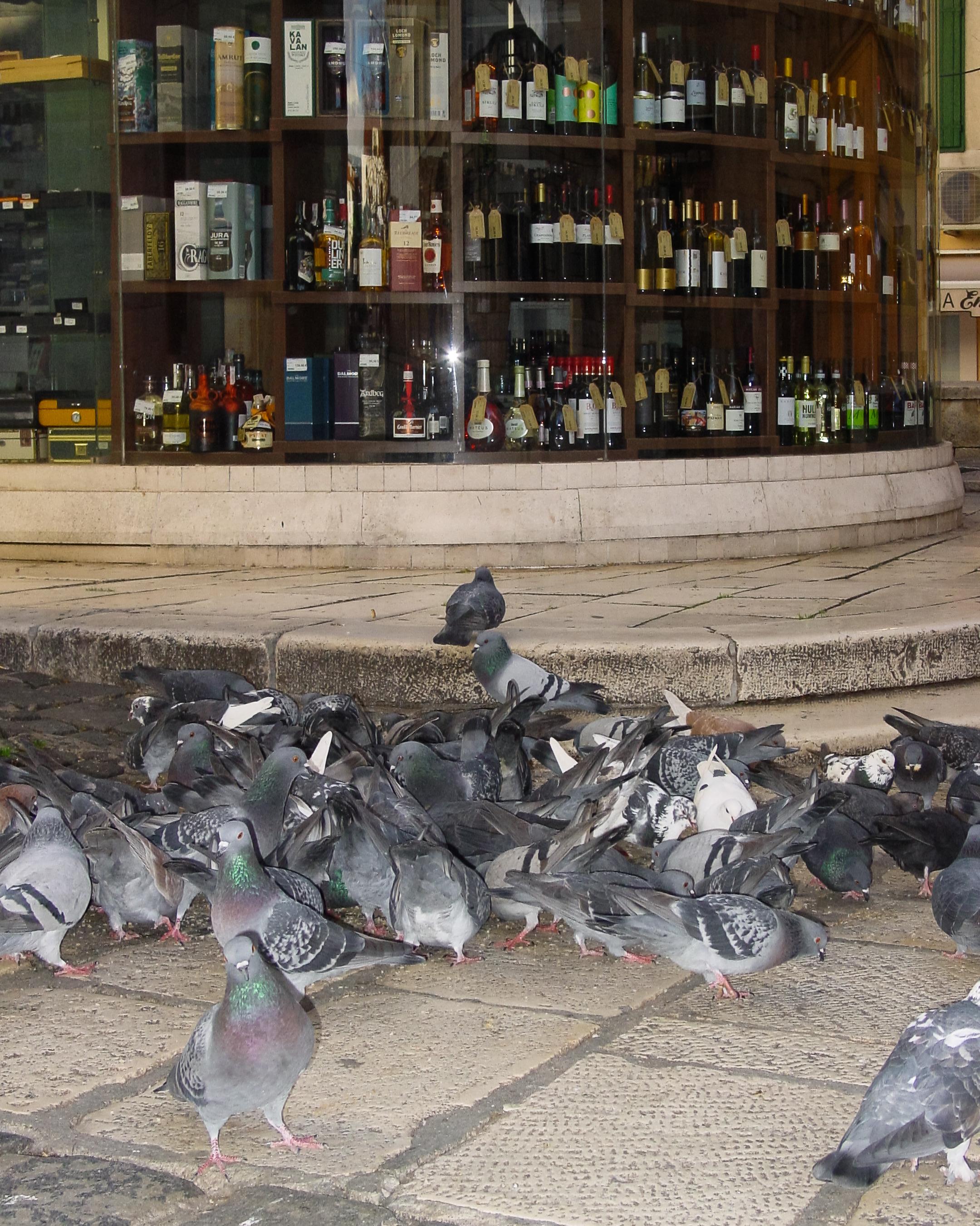 A gang of pigeons in front of a liquor store, captured with a bright flash.