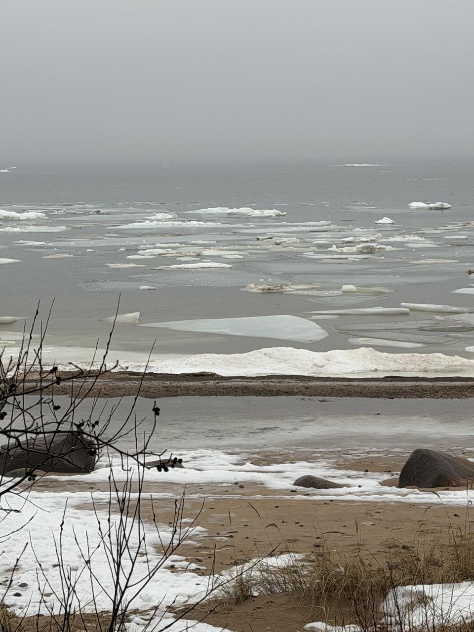 Some ice floatinf in the sea, snow almost melted on the shore
