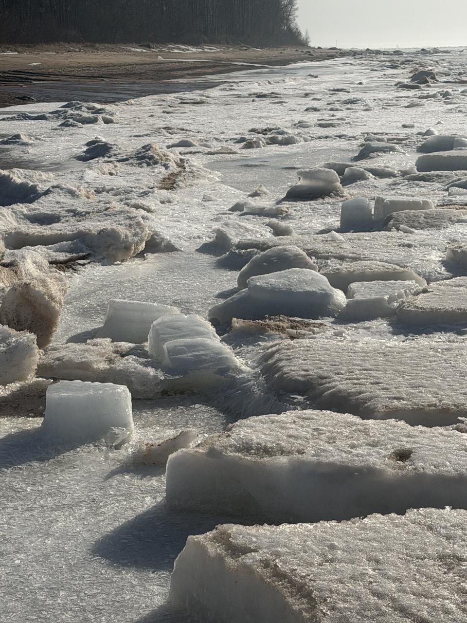 Ice formation on the shore
