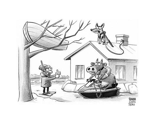 Posted media