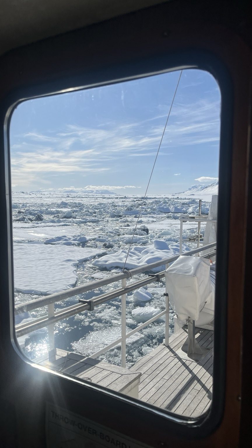 A view form a ship to a lightly congested sea ice